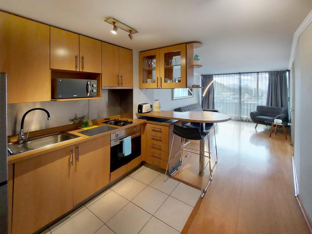 Providencia Plaza Appartement Santiago Buitenkant foto